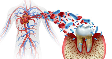 Understanding the Connection: Oral Health and Heart Disease - Dental Valution